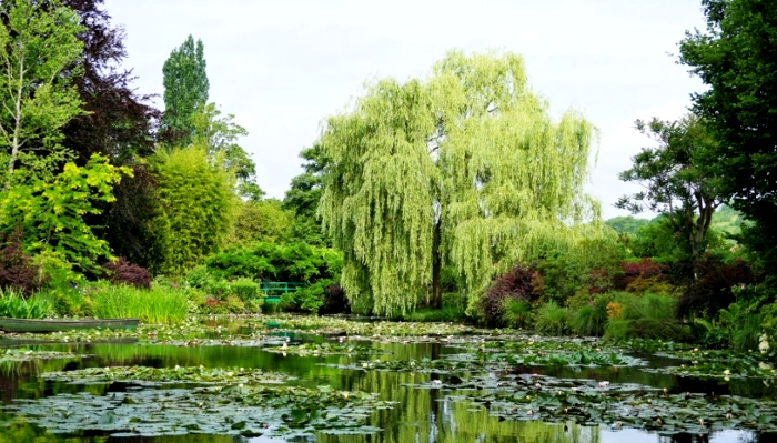 モネの庭・睡蓮の池